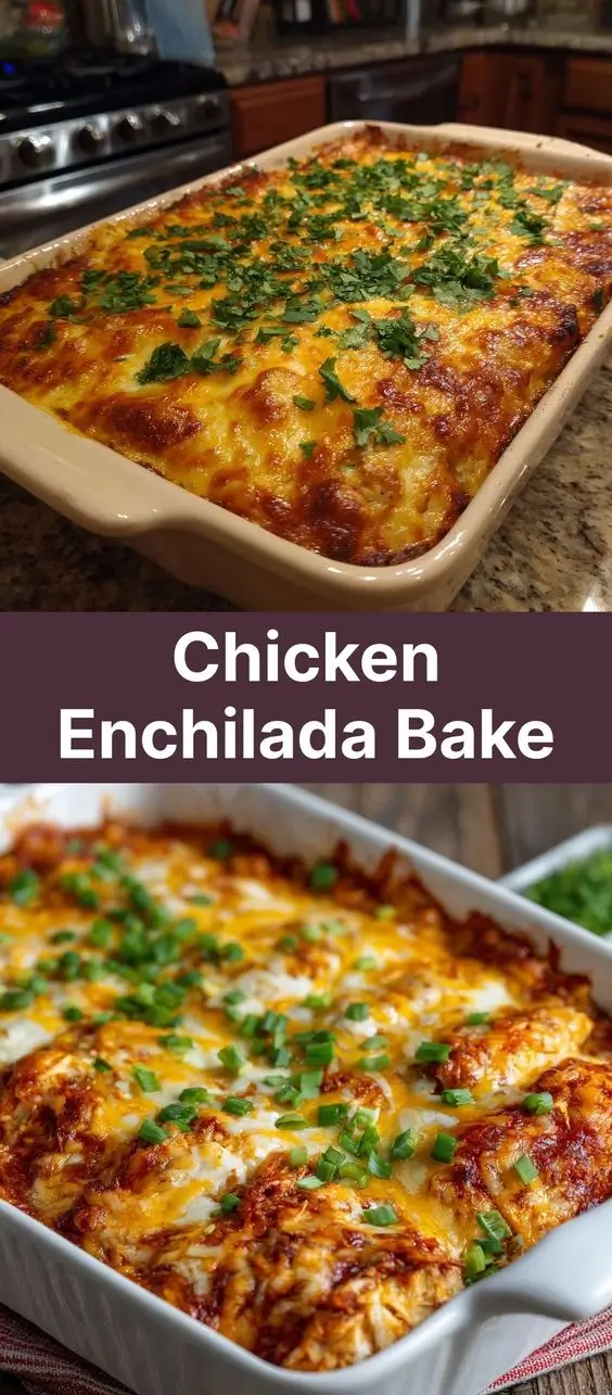 Chicken Enchilada Bake