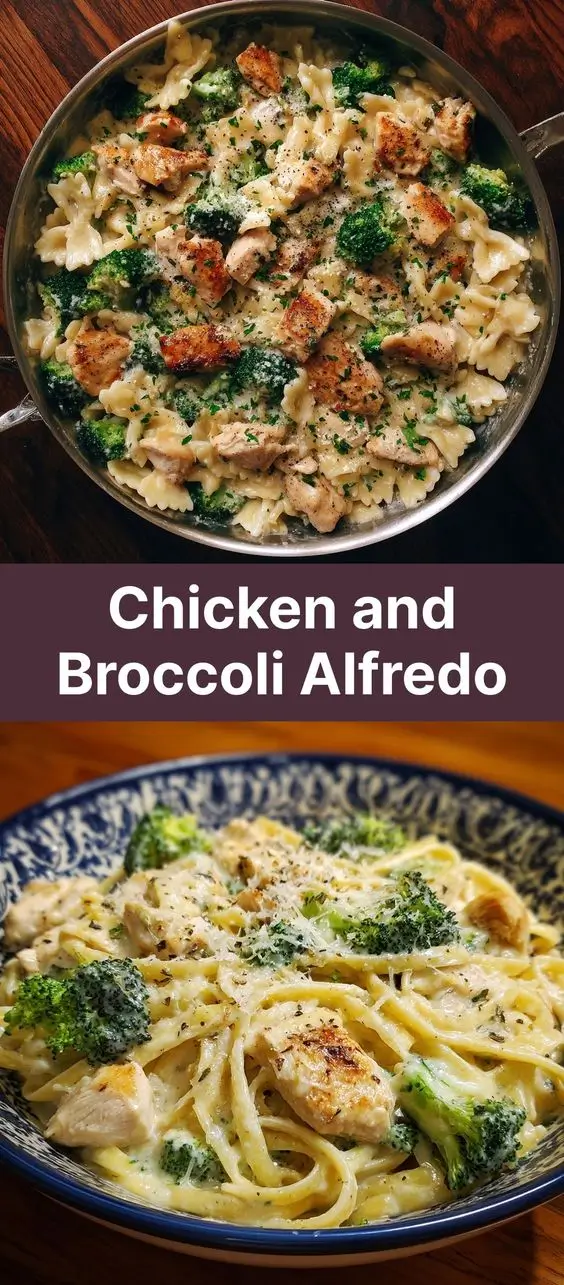 Chicken and Broccoli Alfredo
