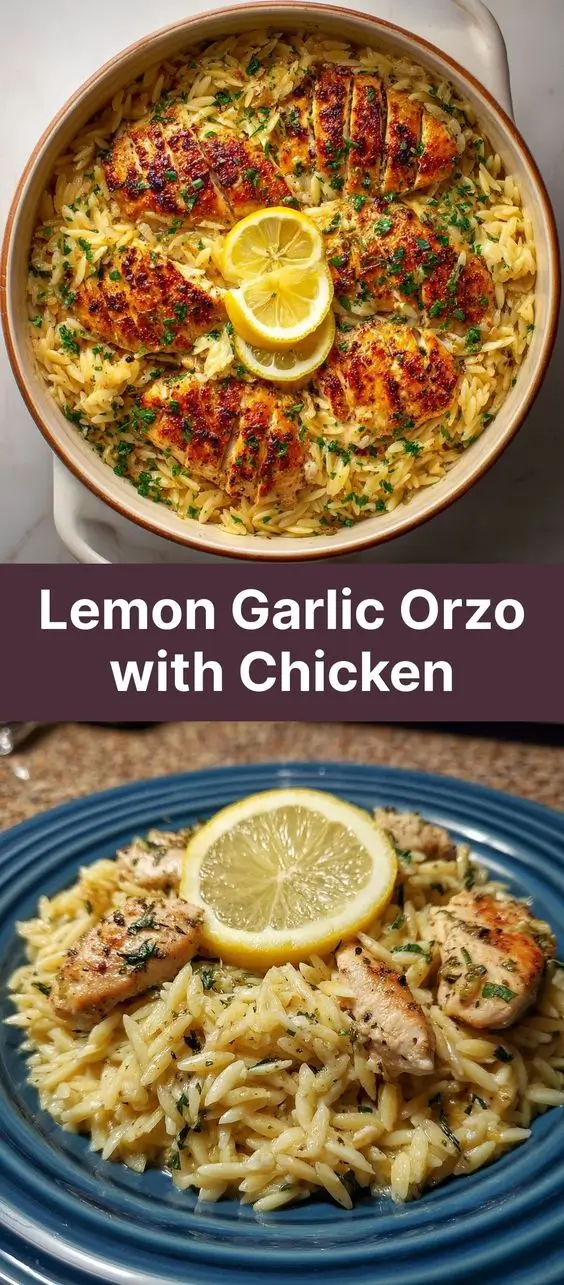 Lemon Garlic Orzo with Chicken
